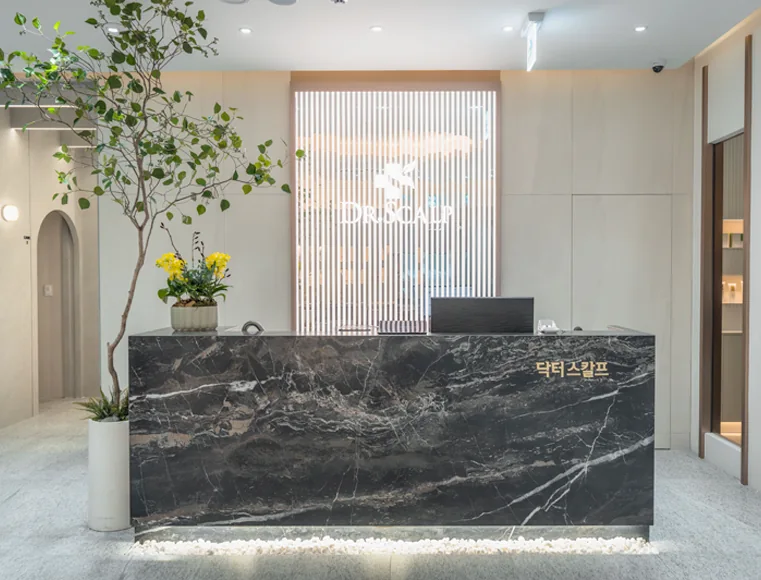닥터스칼프 강남본점